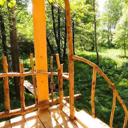 Mikulášovice Treehouse Lea 아파트 외부 사진