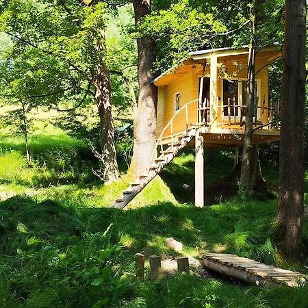 Mikulášovice Treehouse Lea 아파트 외부 사진