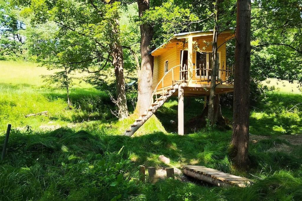 Mikulášovice Treehouse Lea 아파트 외부 사진