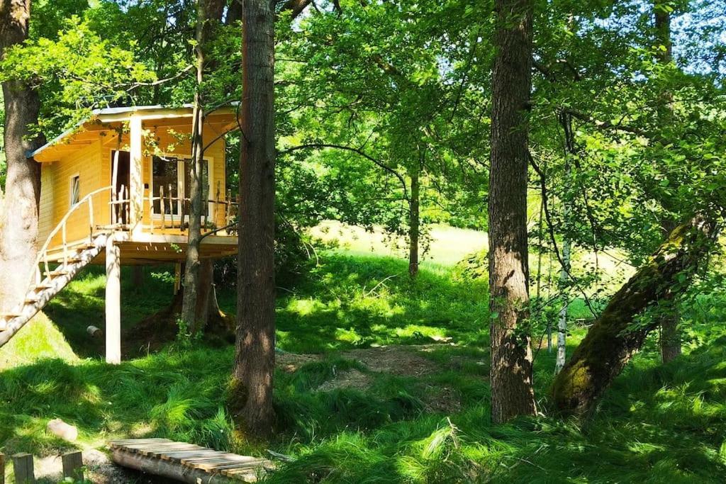 Mikulášovice Treehouse Lea 아파트 외부 사진