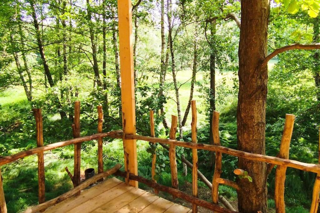 Mikulášovice Treehouse Lea 아파트 외부 사진