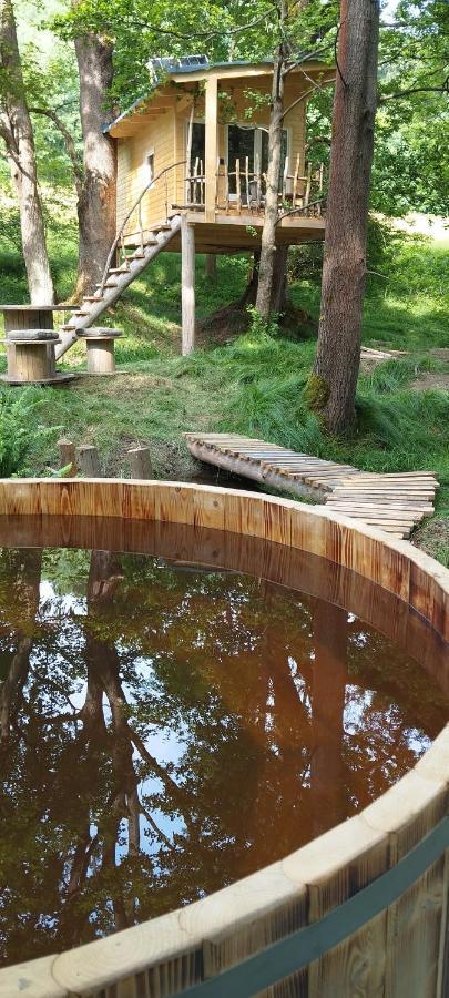 Mikulášovice Treehouse Lea 아파트 외부 사진